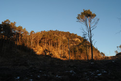 Smidjefjellet