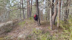 Bjørnøya Vest