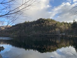 Kringleskoghammaren