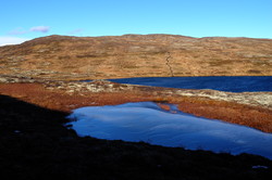 Raudhåmmåren