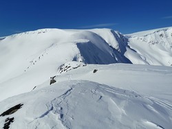 Skjerdingane V1