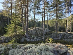 Kvenntjennsbekksvollen