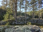 Kvenntjennsbekksvollen