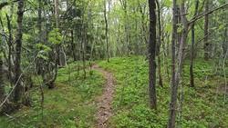 Steinberget