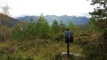 Helgåsen