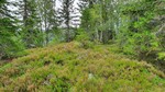 Slåttmyråsen