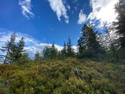 Barlindhøgda Øst