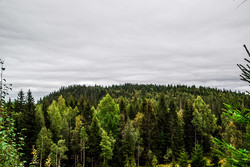 Almdalsfjellet