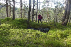 Småhytten (ruin)