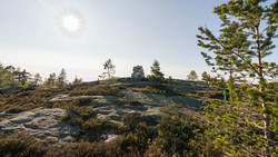 Hovdebøfjellet