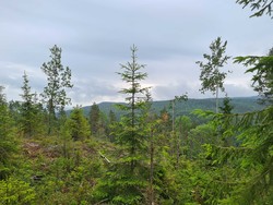 Borgeåsen
