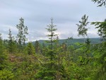 Borgeåsen