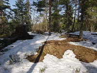 Sør for Utsikt