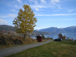 Bomveg Grøning