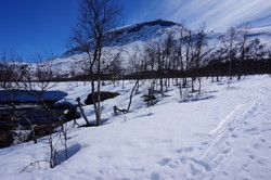 Store Sjurfjellet