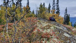 Ringputtåsen Sør