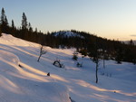 Skrubbhaugen