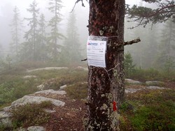 Pikstein Øst