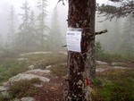 Pikstein Øst