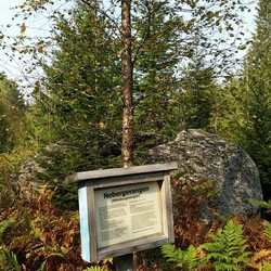 Nittebergsvangen