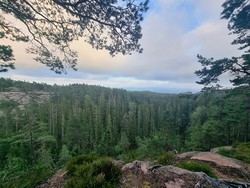 Nord på Barlindåsen