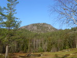 Napanuten