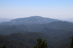 Vouni