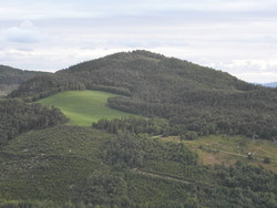 Heståsen