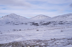 Storhøa