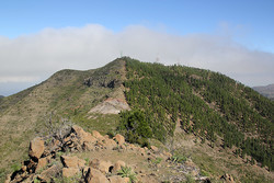 Cruz de Gala