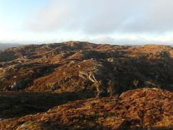 Vastø