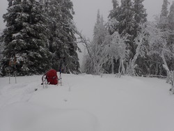 Flatdalsåsen Nordøst