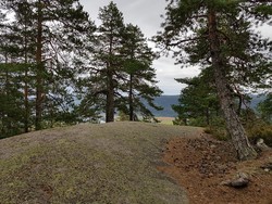 Knabben