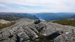 Fylenipa