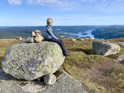Hekkfjell