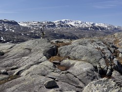 Vassdalsheia