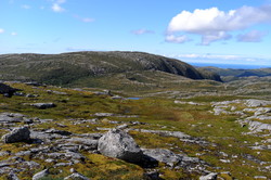 Kjerringheia