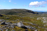 Kjerringheia