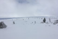 Hemmelkampen SØ1