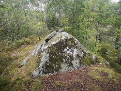Gamlehaugen