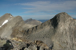 Storgladnebba