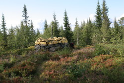 Riksrøys 108