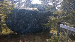 Skatollsteinen