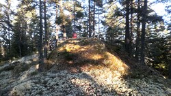 Korpberget