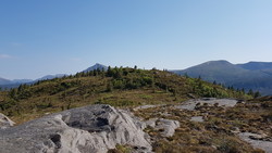 Bjerga midt