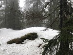 Granberget sør for