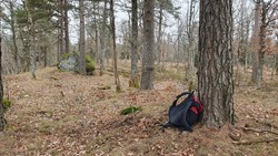 Reiersås
