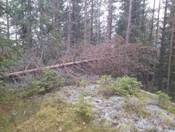 Hansbråtanberget