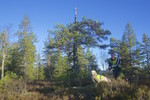Moliksåsen