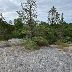Risøyas høyeste punkt